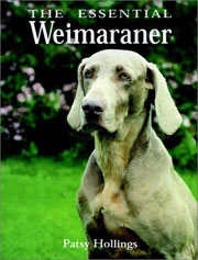 WEIMARANER ESSENTIAL