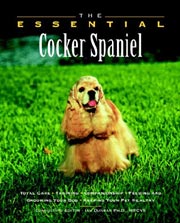 AMERICAN COCKER SPANIEL