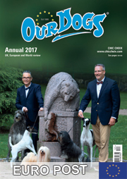 OUR DOGS ANNUAL 2017 - WITH EUROPEAN POST £20.95 total inc p&p