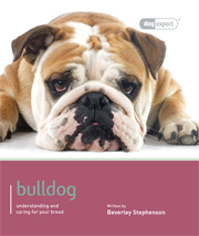 BULLDOG (DOG EXPERT)