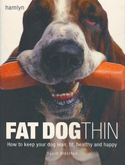 FAT DOG THIN