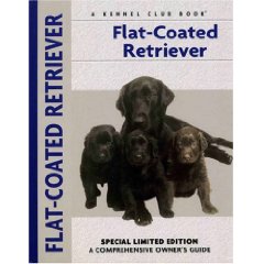 RETRIEVER FLATCOATED