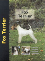 FOX TERRIER (Interpet)