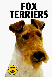 FOX TERRIERS KW