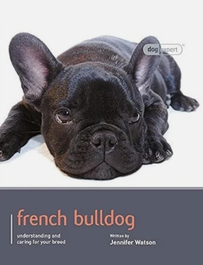 FRENCH BULLDOG (DOG EXPERT)