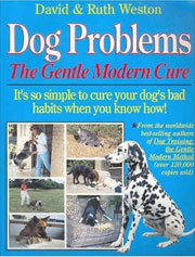 DOG PROBLEMS GENTLE MODERN CURE