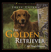 GOLDEN RETRIEVER ALL THAT GLITTERS - SLIGHT SECOND