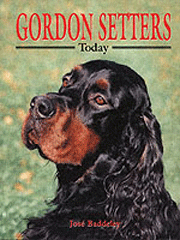 GORDON SETTER