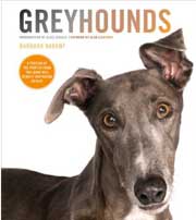 GREYHOUNDS