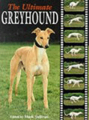 GREYHOUND ULTIMATE 