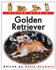 GOLDEN RETRIEVER LIVING WITH