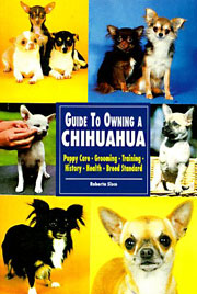 CHIHUAHUA GUIDE TO OWNING A