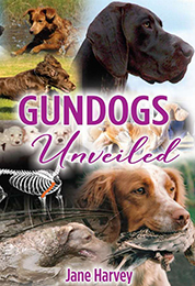 GUNDOGS UNVEILED