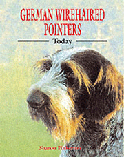 GERMAN WIREHAIRED POINTERS TODAY