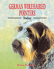 GERMAN WIREHAIRED POINTER