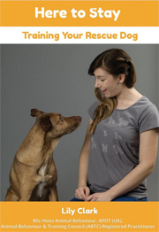 HERE TO SAY - TRAINING YOUR RESCUE DOG