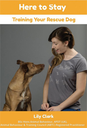 HERE TO STAY - TRAINING YOUR RESCUE DOG
