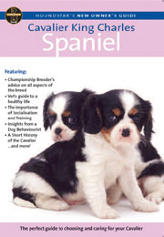 CAVALIER KING CHARLES SPANIEL (HOUNDSTAR)