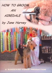 HOW TO GROOM AN AIREDALE