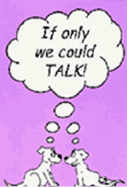 IF ONLY WE COULD TALK