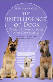 INTELLIGENCE OF DOGS