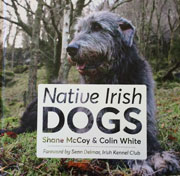 IRISH NATIVE BREEDS
