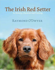 IRISH RED SETTER - HISTORY, CHARACTER AND TRAINING