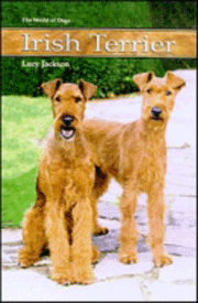 IRISH TERRIER