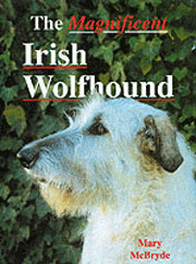 IRISH WOLFHOUND THE MAGNIFICENT - OUT OF STOCK