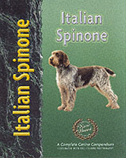 ITALIAN SPINONE (Interpet)