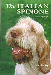 ITALIAN SPINONE