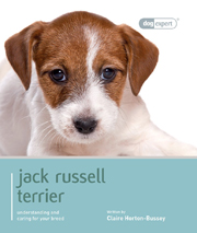JACK RUSSELL (DOG EXPERT)