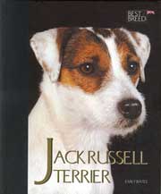 JACK RUSSELL TERRIER - BEST OF BREED