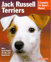 JACK RUSSELL TERRIERS