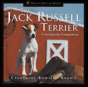 JACK RUSSELL TERRIER COURAGEOUS CHAMPION