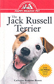 JACK RUSSELL TERRIER HAPPY HEALTHY