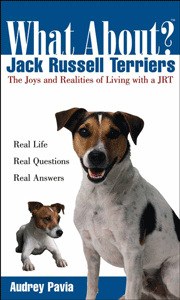 JACK RUSSELL TERRIERS - WHAT ABOUT?
