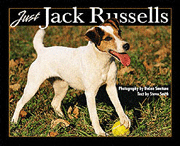 JUST JACK RUSSELLS