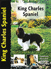 KING CHARLES SPANIEL