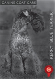 KERRY BLUE TERRIER GROOMING DVD