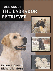 LABRADOR RETRIEVER ALL ABOUT THE