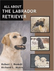 LABRADOR RETRIEVER ALL ABOUT THE 