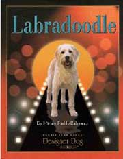 LABRADOODLES
