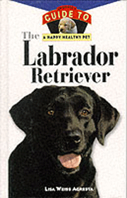 LABRADOR RETRIEVER HAPPY HEALTHY