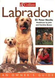 LABRADOR RETRIEVERS OWNERS GUIDE