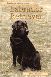 LABRADOR RETRIEVERS PET OWNERS GUIDE TO