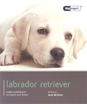 LABRADOR - DOG EXPERT SERIES
