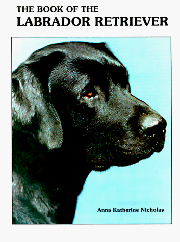 LABRADOR RETRIEVER BOOK OF THE