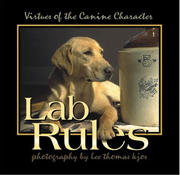 LAB RULES