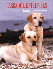 LABRADOR RETRIEVERS TODAY